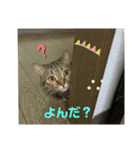 沙羅ゆう（個別スタンプ：3）