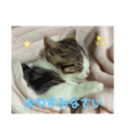 沙羅ゆう（個別スタンプ：6）