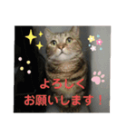 沙羅ゆう（個別スタンプ：7）