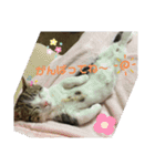 沙羅ゆう（個別スタンプ：8）