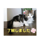 沙羅ゆう（個別スタンプ：10）