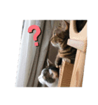 沙羅ゆう（個別スタンプ：12）