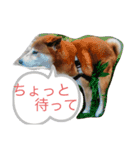 愛犬ムク（個別スタンプ：3）