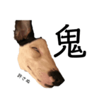 鬼犬テリア（個別スタンプ：3）