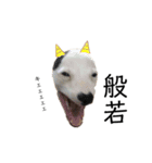 鬼犬テリア（個別スタンプ：5）