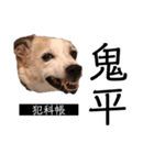 鬼犬テリア（個別スタンプ：8）