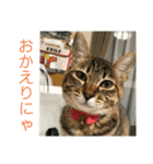みかおかスタンプ（個別スタンプ：7）