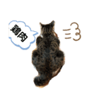みぃとぅん（個別スタンプ：2）