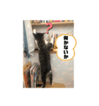 みぃとぅん（個別スタンプ：5）