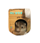 Ryoryo's pet's 4part2（個別スタンプ：4）