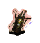 Ryoryo's pet's 4part2（個別スタンプ：5）
