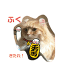 Ryoryo's pet's 4part2（個別スタンプ：14）