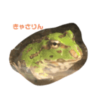 Ryoryo's pet's 4part2（個別スタンプ：19）