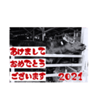 ハッピーニューイヤー 2021（個別スタンプ：5）