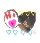 猫のななちゃん①（個別スタンプ：19）
