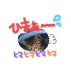 猫のななちゃん①（個別スタンプ：24）