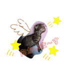 猫のななちゃん①（個別スタンプ：27）