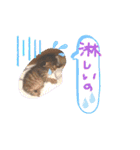 猫のななちゃん①（個別スタンプ：36）