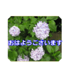 街中の植物で会話 2（個別スタンプ：2）