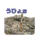 街中の植物で会話 2（個別スタンプ：10）