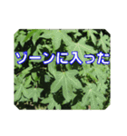 街中の植物で会話 2（個別スタンプ：17）
