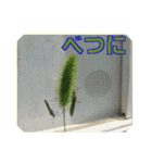 街中の植物で会話 2（個別スタンプ：22）