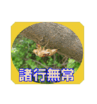 街中の植物で会話 2（個別スタンプ：23）