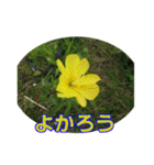 街中の植物で会話 2（個別スタンプ：25）