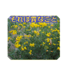 街中の植物で会話 2（個別スタンプ：29）