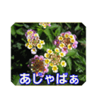 街中の植物で会話 2（個別スタンプ：39）