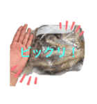 ずーくんの釣りスタンプ（個別スタンプ：13）