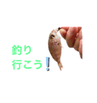 ずーくんの釣りスタンプ（個別スタンプ：16）