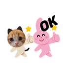世界一かわいい赤ちゃんねこ2（個別スタンプ：20）