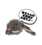 世界一かわいい赤ちゃんねこ2（個別スタンプ：24）
