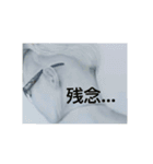 背中で申す（個別スタンプ：7）