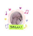 背中で申す（個別スタンプ：14）