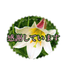 JWお花の励ましの言葉（個別スタンプ：4）