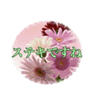 JWお花の励ましの言葉（個別スタンプ：24）