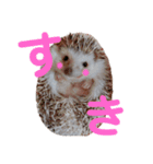 ハリネズミきなこちゃん♡（個別スタンプ：11）