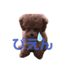 小さいプードルマシューくん（個別スタンプ：4）