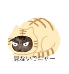 暑がり（個別スタンプ：4）