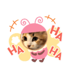 暑がり（個別スタンプ：5）