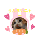 暑がり（個別スタンプ：6）