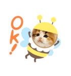 暑がり（個別スタンプ：13）