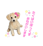 リアルDOG ある＆りん①（個別スタンプ：4）