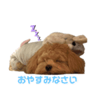 リアルDOG ある＆りん①（個別スタンプ：6）