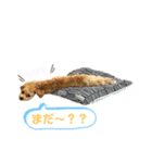 リアルDOG ある＆りん①（個別スタンプ：7）