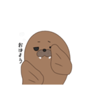 家のセイウチ（個別スタンプ：2）