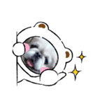ゆうちゃん弐（個別スタンプ：2）