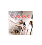 茶トラ まろん（個別スタンプ：3）